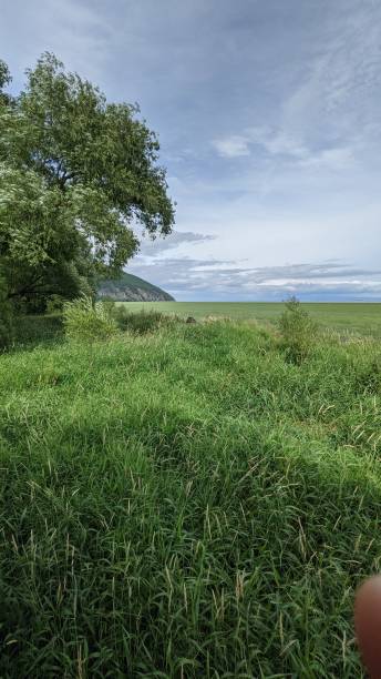 istock Pastures of Cap Tourmente (photo6) 1344474816