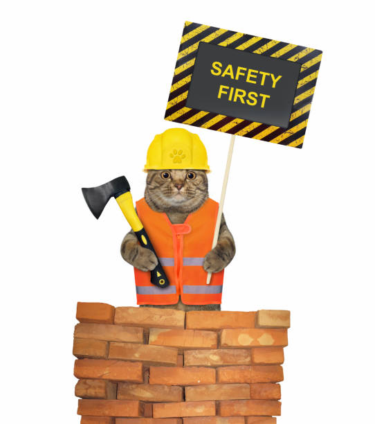 istock Cat holds axe and poster safety first 1344475617