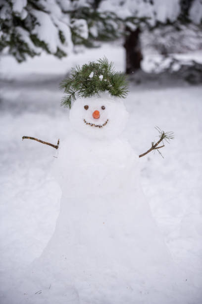 istock Funny snowman in a forest on a snowy winter walk 1344477042