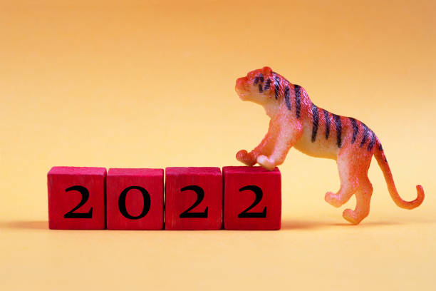 Golden Year of the Tiger stock photo