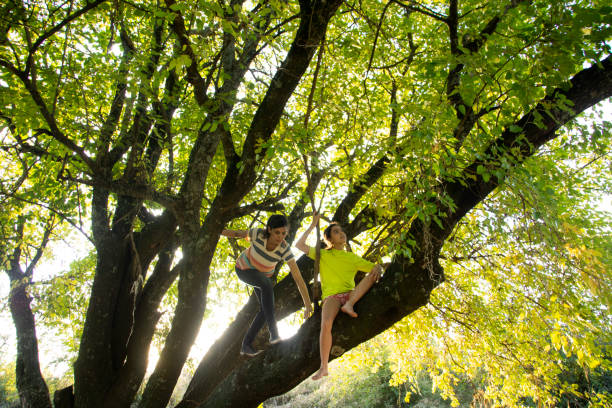 Child playing near fallen tree outdoor in nature.