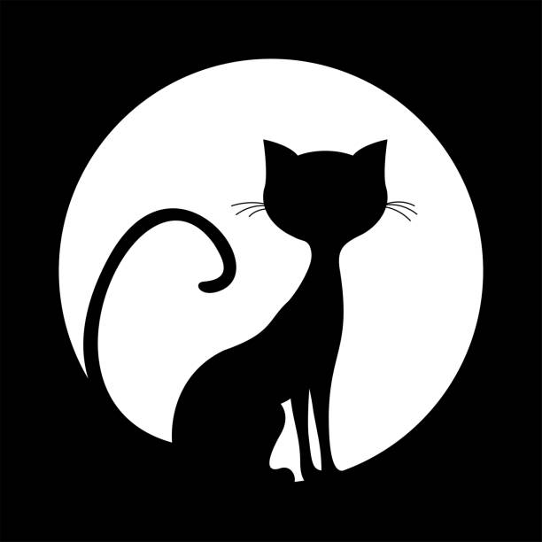 einfache silhouette der schwarzen katze bei vollmond. halloween illustration. - spooky mammal feline domestic cat stock-grafiken, -clipart, -cartoons und -symbole