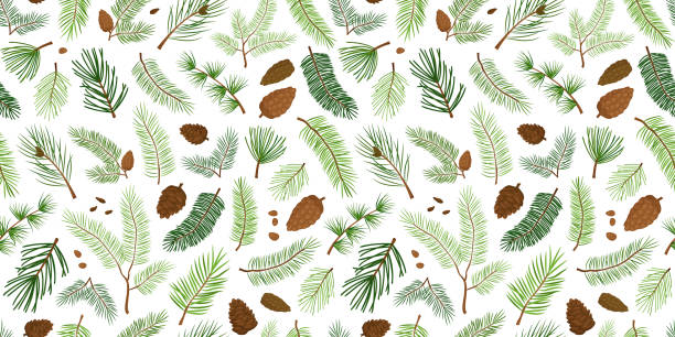 illustrazioni stock, clip art, cartoni animati e icone di tendenza di pino e ramo abete senza cuciture, albero e cono, abete rosso sempreverde, sfondo di natale e capodanno. vacanza dei cartoni animati - pine tree evergreen tree backgrounds needle