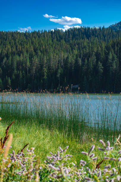istock Mountain lake landscape in a summer day 1344496656