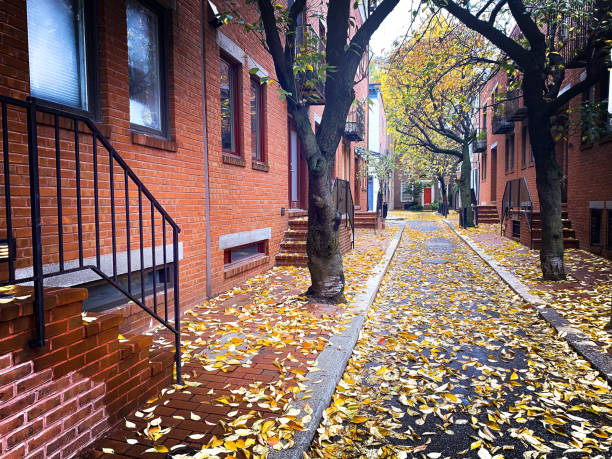 istock Autumn in Philadelphia 1344497877