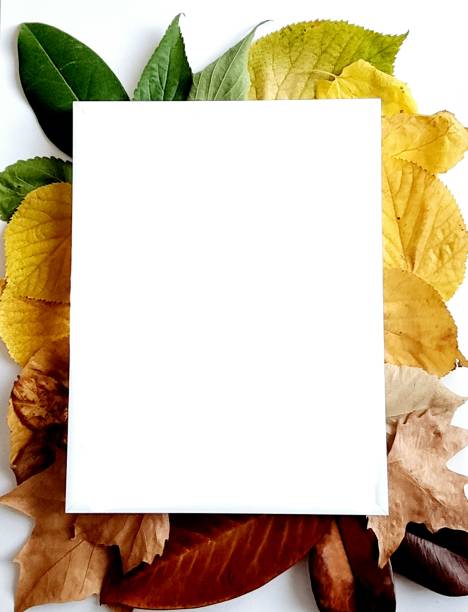 istock Autumn leaves paper card 1344500739