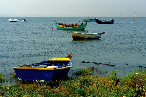 istock Fishing boats anchorage 134450716