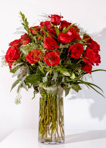 buquê de rosas vermelhas em vaso de vidro no fundo branco. - dozen roses rose flower arrangement red - fotografias e filmes do acervo