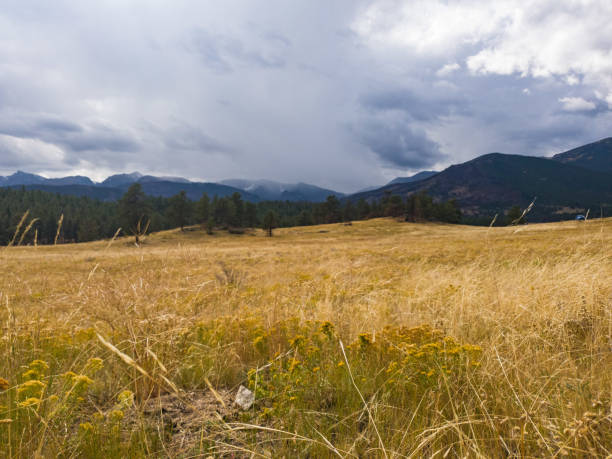 istock Rocky Mountain National Park 1344511214