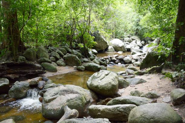 istock Chantatern waterfall in Chonburi Thailand 1344513018