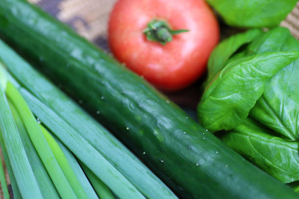 Harvesting summer vegetables in the vegetable garden, cucumbers, tomatoes, leeks, basil