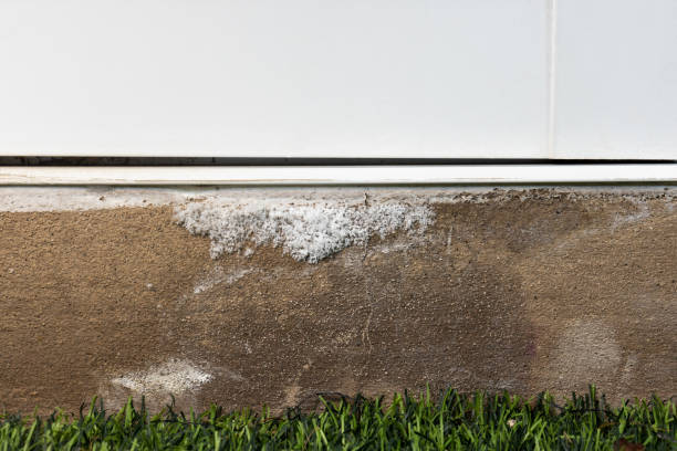 istock Efflorescence is stain white salt on moisture concrete wall 1344518046