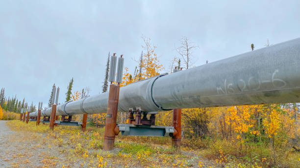 istock Trans Alaskan Pipeline With Autumn Colors 1344519110