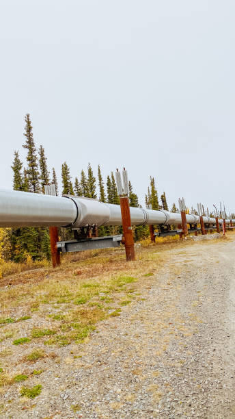 istock Trans Alaskan Pipeline With Autumn Colors 1344519145