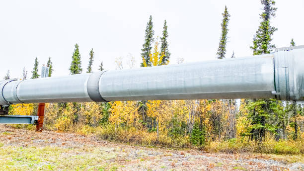 istock Trans Alaskan Pipeline With Autumn Colors 1344519147