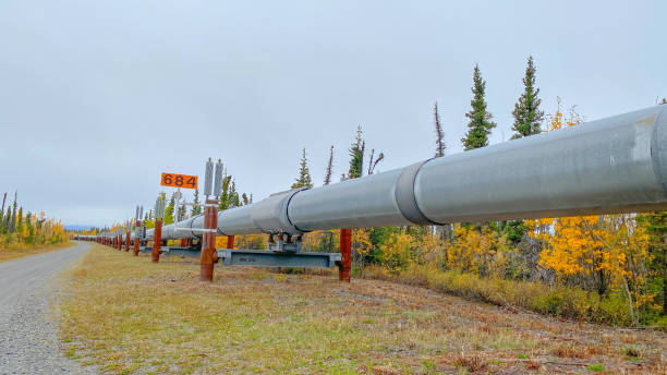 istock Trans Alaskan Pipeline With Autumn Colors 1344519148
