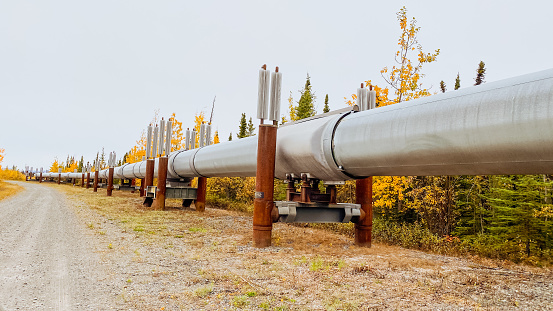 The Trans-Alaskan Pipeline makes its way down the many miles of Alaska. Oil travels from the North Slope of Alaska, down to the Port of Valdez. As the seasons change from Summer to Fall season, the beauty surrounding the pipeline is enhanced. Ooo