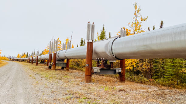 trans alaskan pipeline with autumn colors - 4721 imagens e fotografias de stock
