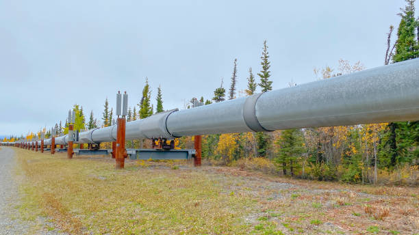 istock Trans Alaskan Pipeline With Autumn Colors 1344519160