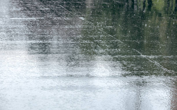 istock wet asphalt road surface with trees reflections during heavy rain 1344521320