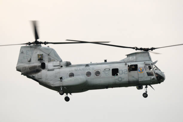 helicóptero de carga boeing vertol ch-46e sea knight do hmm-262 "tigres voadores". - helicopter boeing marines military - fotografias e filmes do acervo