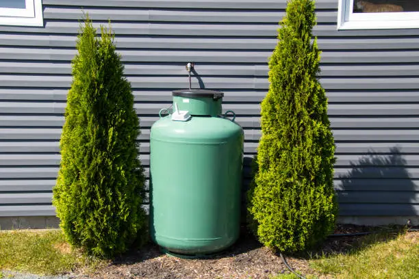 A large green propane tank on the side of a house bordered by two cedar bushes.  The house has a bluish grey siding"n