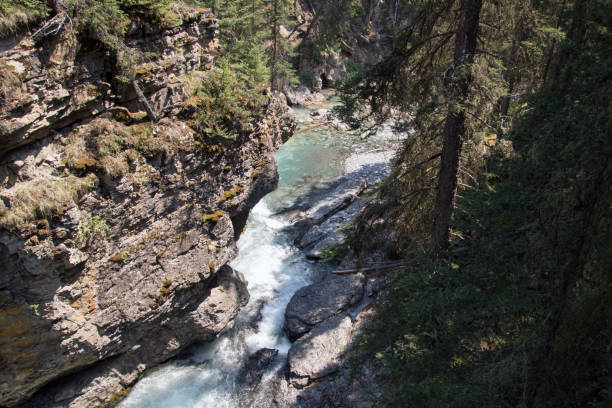 istock A view of a river from above 1344523269