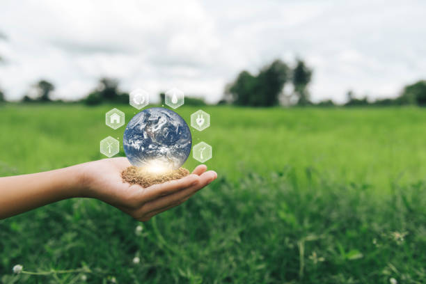 istock World environment day. and Green Background hand holding tree Earth globe in hands. Elements of this image furnished by NASA. 1344527136