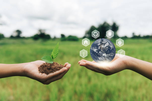 istock World environment day. and Green Background hand holding tree Earth globe in hands. Elements of this image furnished by NASA. 1344527720