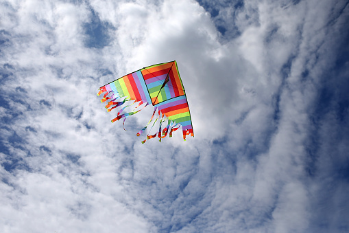 Kite flying high.
