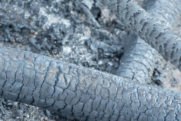 istock Burnt black wood background texture. 1344529553