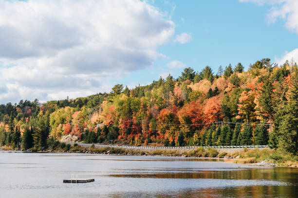 istock Fall foliage in canadian national park 1344530321