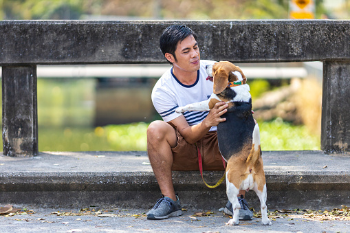 Asian man is playing with his beagle dog while having morning exercise inside the park