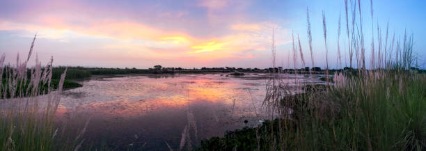 istock Panoramic shot of sunrise over lake 1344534283