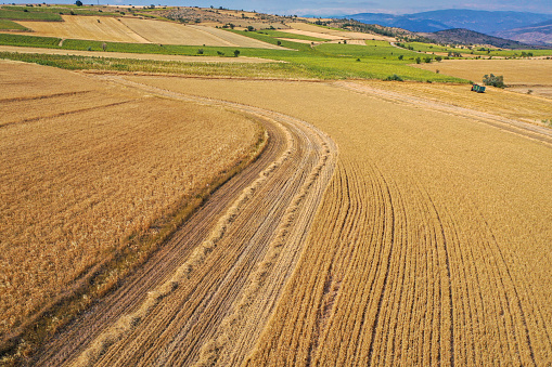 Aerial view of cropland with by drone