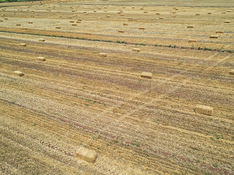 Aerial view of Golden hay bales