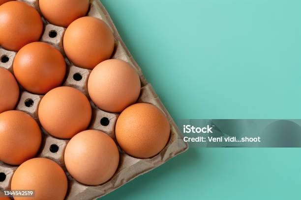 Tray With Brown Chicken Eggs Against Turquoise Background Copy Space Stock Photo - Download Image Now