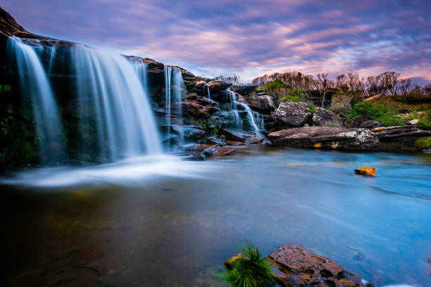 로열 국립공원의 커라커롱 크릭의 폭포 - rainforest australia river waterfall 뉴스 사진 이미지