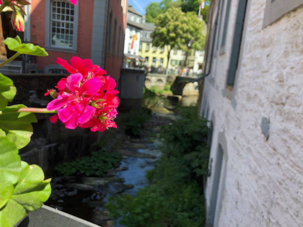 istock Monschau City 1344545840