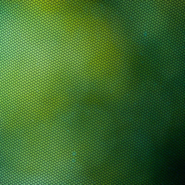 Abstract picture, insect screen on the window close up, green background