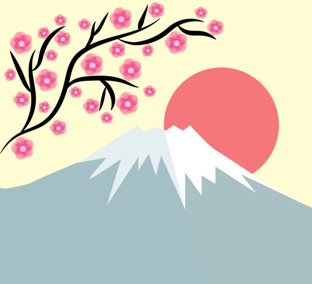 fujiyama volcano and sakura branch fujiyama volcano and sakura branch flower backgrounds cherry blossom spring stock illustrations