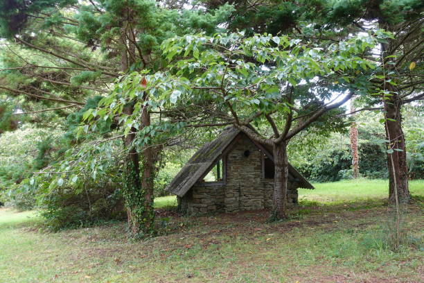 istock Forest house with various trees.  Summer season 1344555775