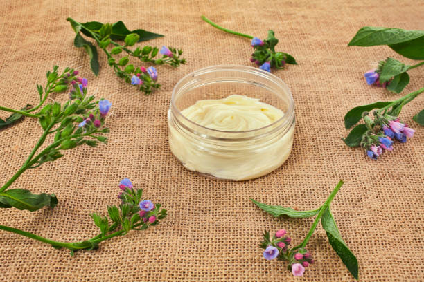 istock The Common Comfrey (Symphytum officinale) herb with jar of cosmetic cream 1344556482