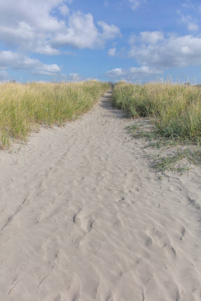 istock The resort town and beach 