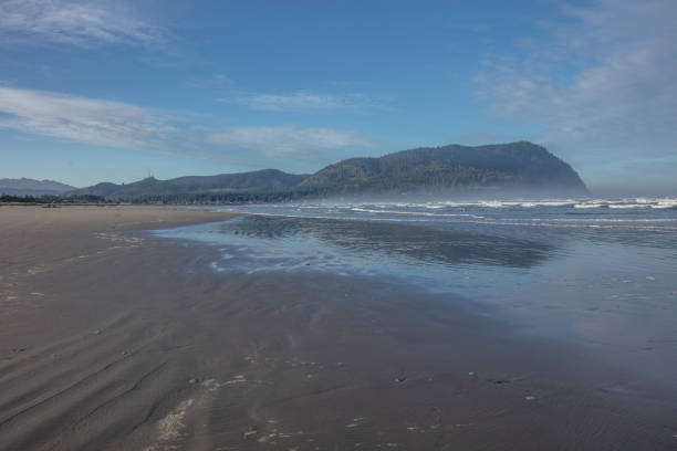 istock The resort town and beach 