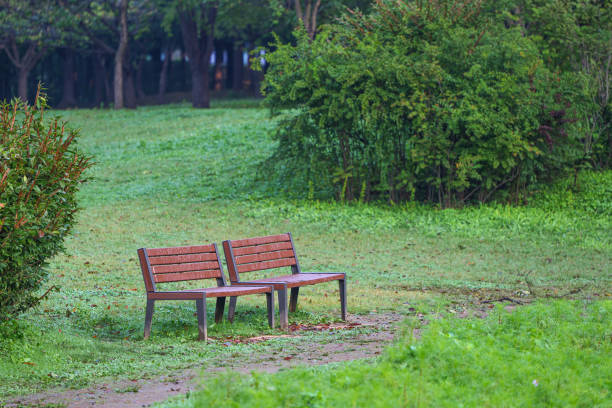 istock Trees and bench chairs on a park walkway 1344564258