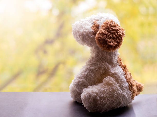 istock Toy soft dog on the window, autumn landscape background 1344568849