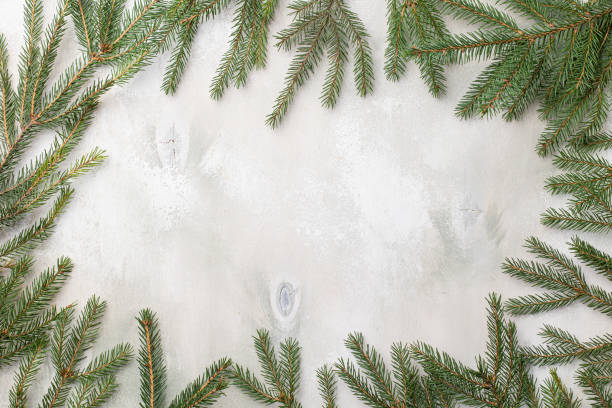 istock Christmas frame with fir tree branches on light wooden background 1344571097