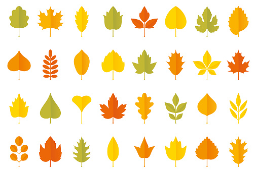 Set of autumn leaves. Geometric icons set. Vector design elements on white background