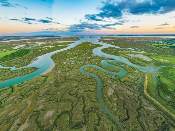 Tollesbury Marshes Aerial photo of Tollesbury salt marshes, Essex. jetty aerial stock pictures, royalty-free photos & images
